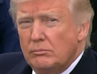 La cara de Donald Trump
